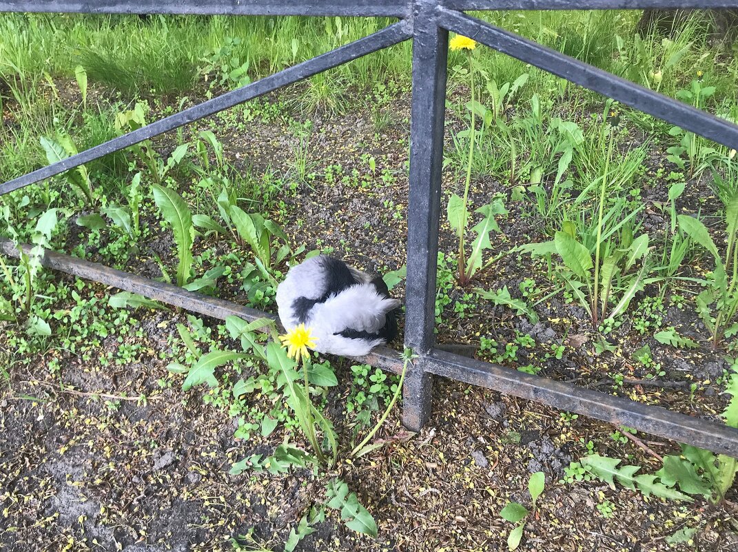 комочек + цветочек - zavitok *