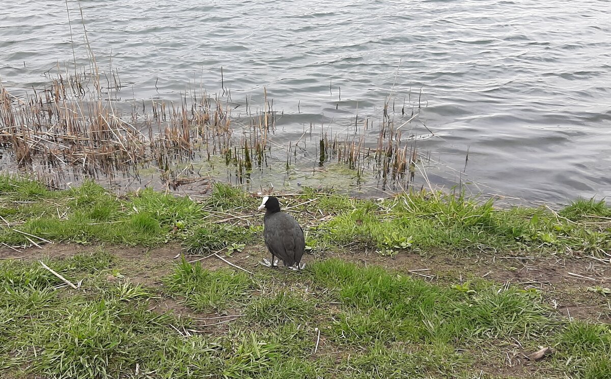 Неласковый май - Наталья Герасимова Неласковый май - Наталья Герасимова