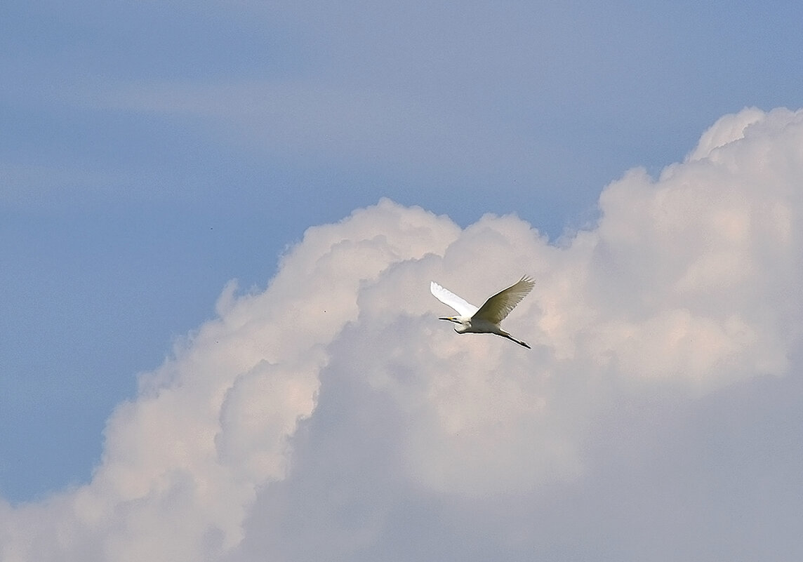 В облаках! - Валентина Нефёдова В облаках! - Валентина Нефёдова