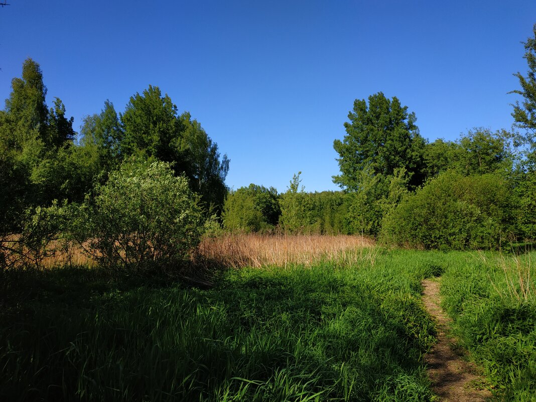 Лето совсем рядом - Андрей Лукьянов Лето совсем рядом - Андрей Лукьянов