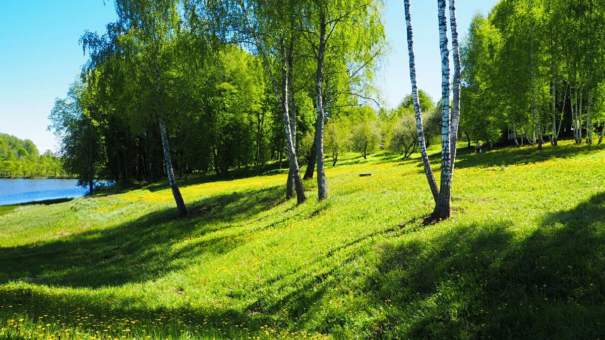 Ландшафтный дизайн. - Милешкин Владимир Алексеевич 