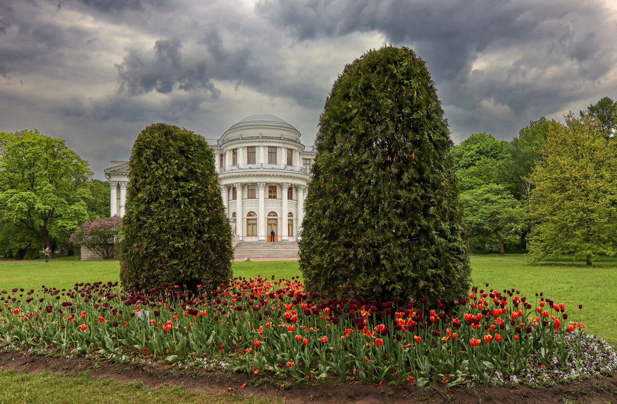 Елагин остров - skijumper Иванов
