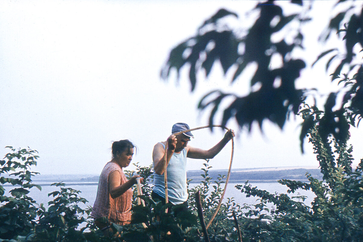 На даче. - Екатерина Панова На даче. - Екатерина Панова