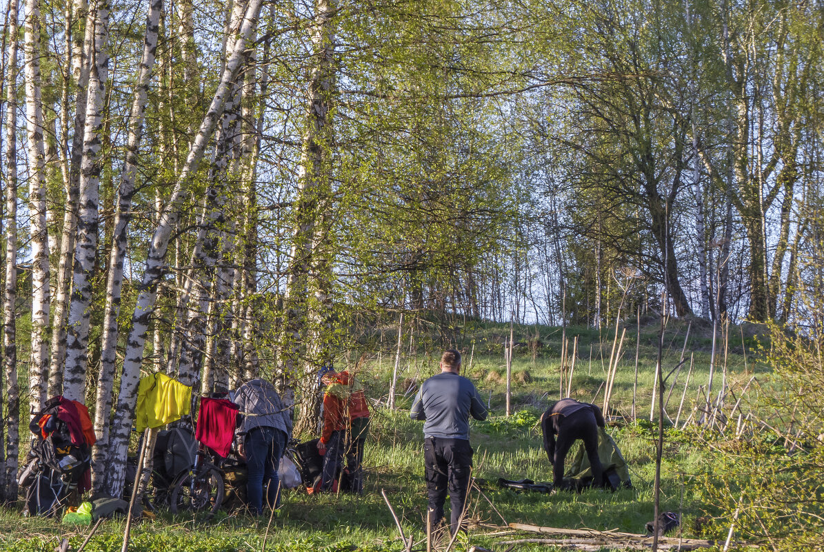 Разбиваем лагерь - Сергей Цветков