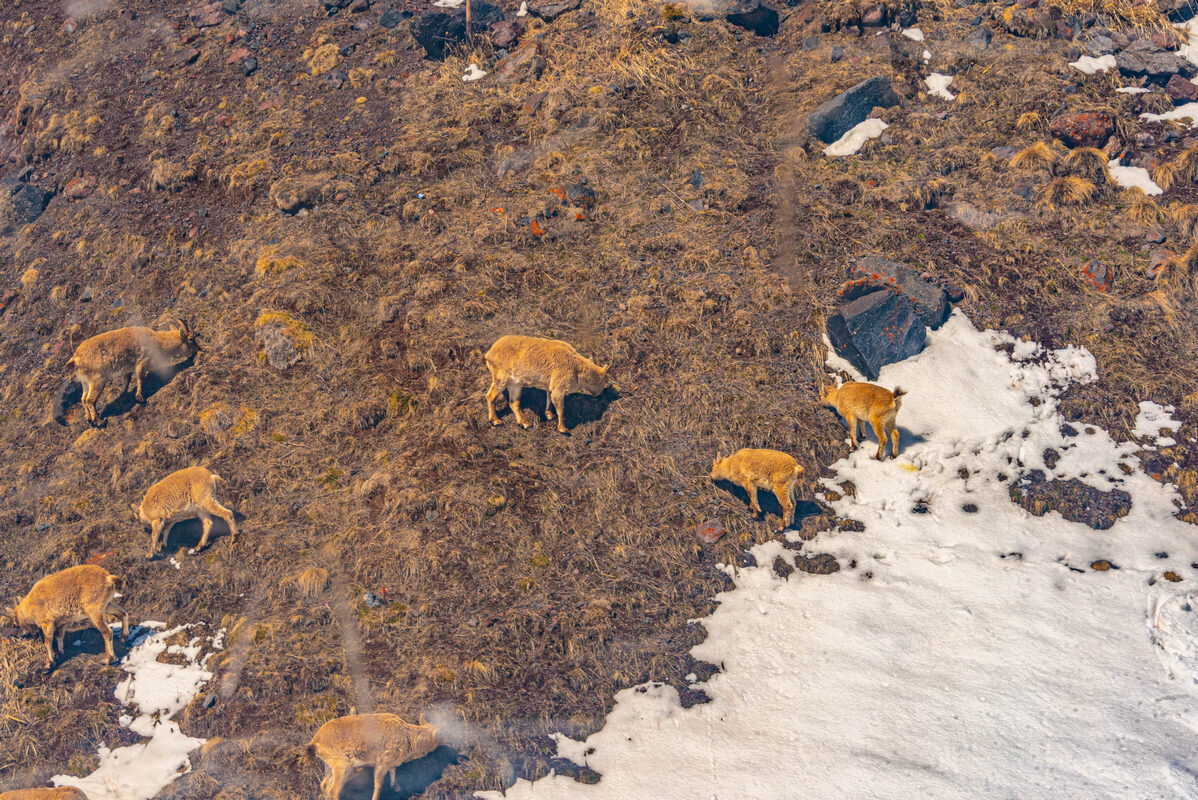 на склоне горы - Дмитрий Лупандин
