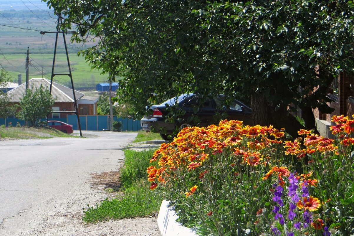 Лето на пороге - Татьяна Смоляниченко