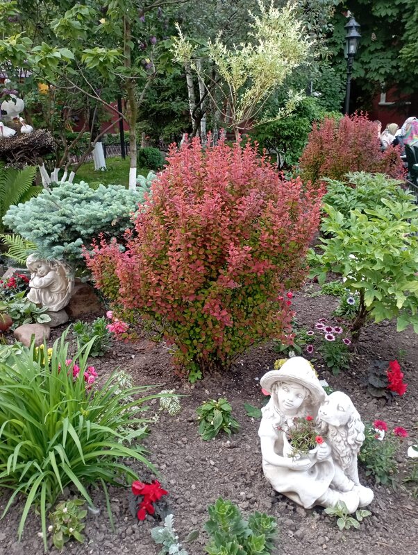 ***** - Елена Семигина