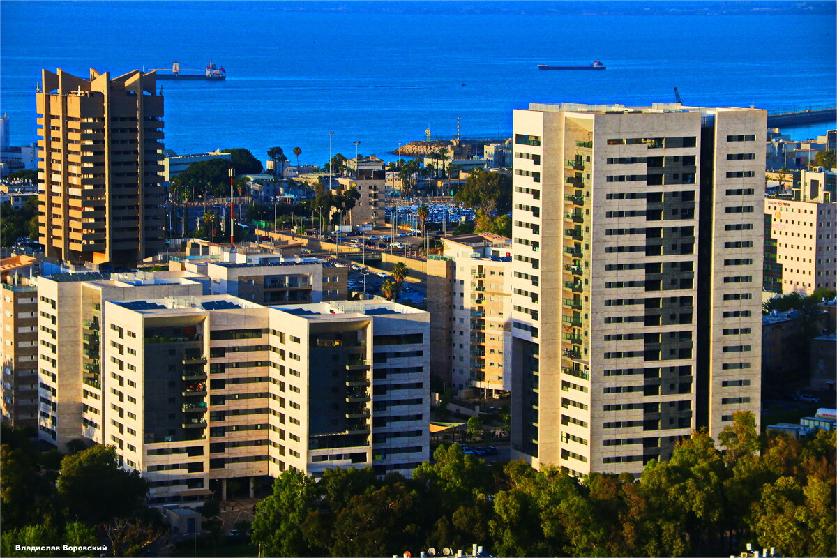 Хайфа 2025 - Владислав Воровский Хайфа 2025 - Владислав Воровский