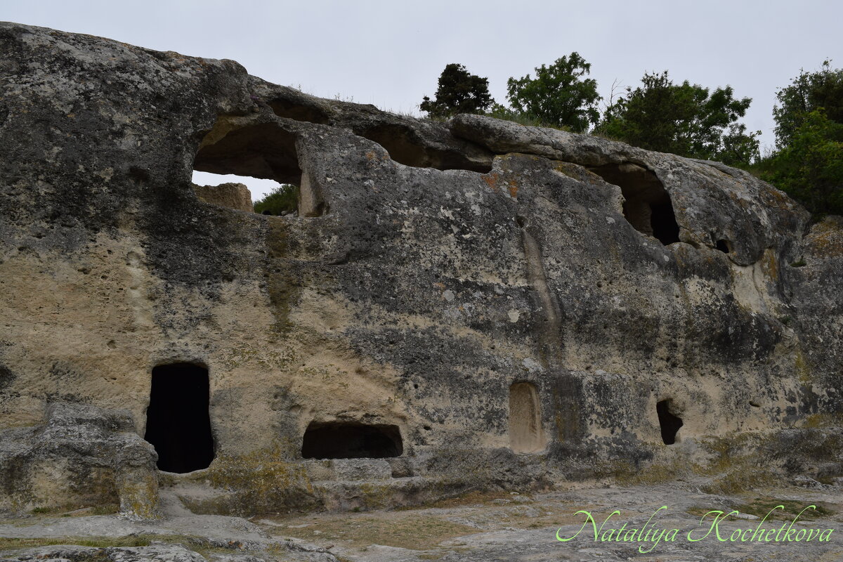 Природа Крыма - Amazing Cosmea Природа Крыма - Amazing Cosmea