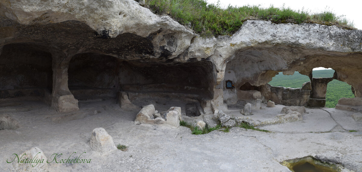 Природа Крыма - Amazing Cosmea Природа Крыма - Amazing Cosmea