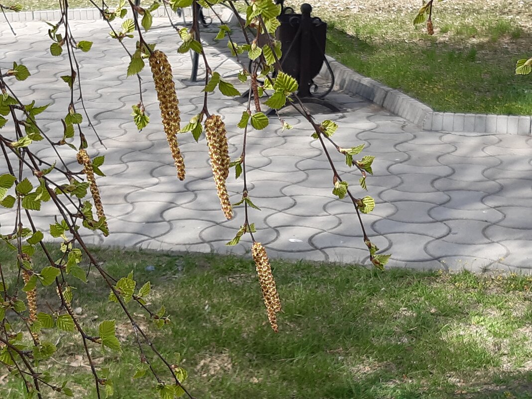 Это было недавно... - Галина Минчук