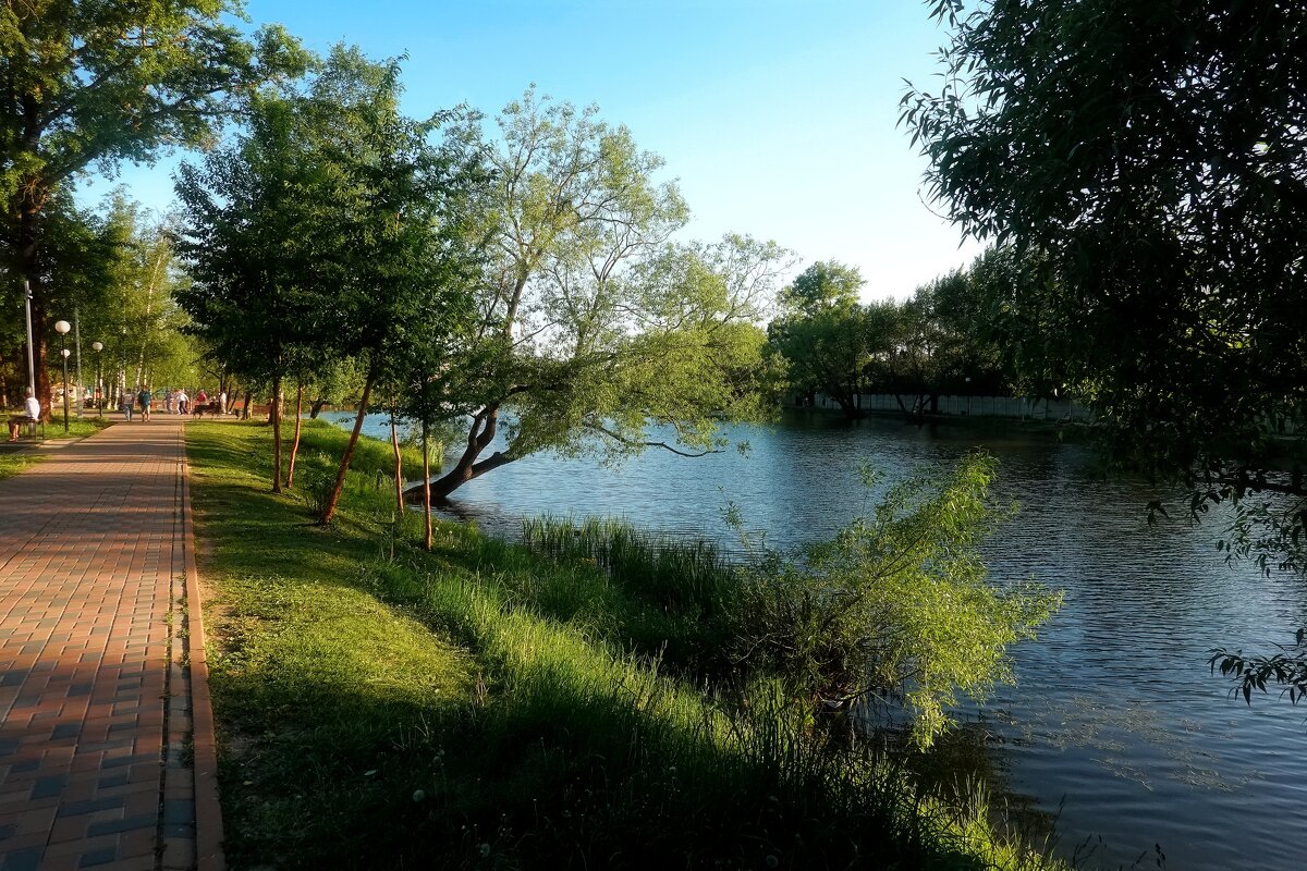 У пруда в Подмосковье. - Татьяна Помогалова