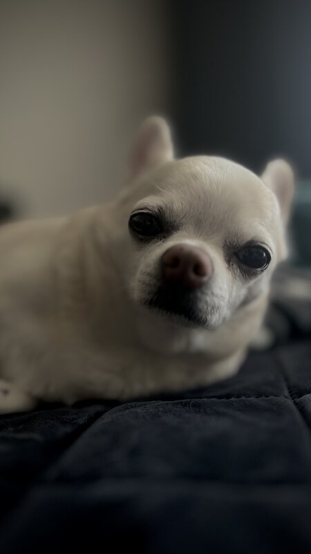 На отдыхе - Юрий Глушков