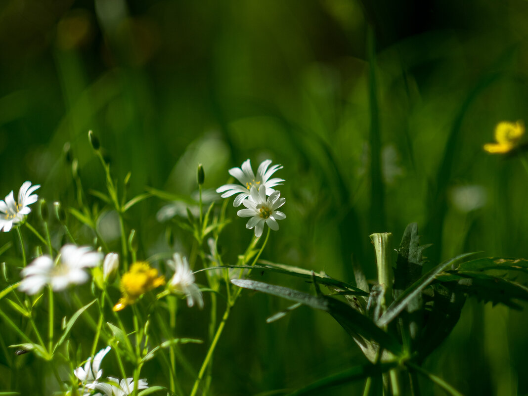 ___ - Yuriy V ___ - Yuriy V