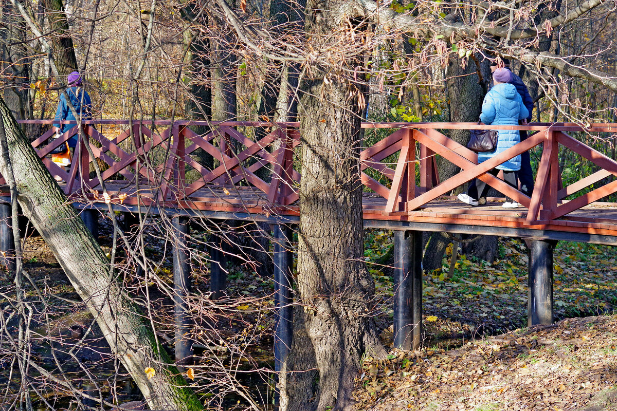 Кузьминский парк - Игорь Белоногов