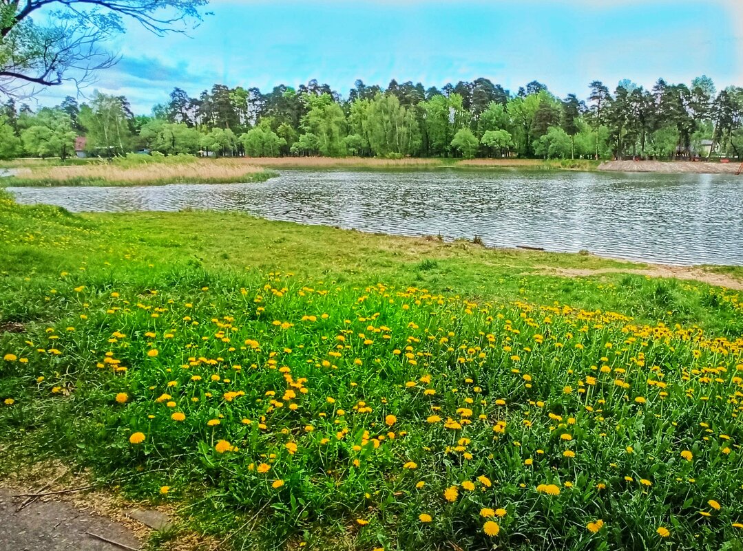 На озере - veilins veilins