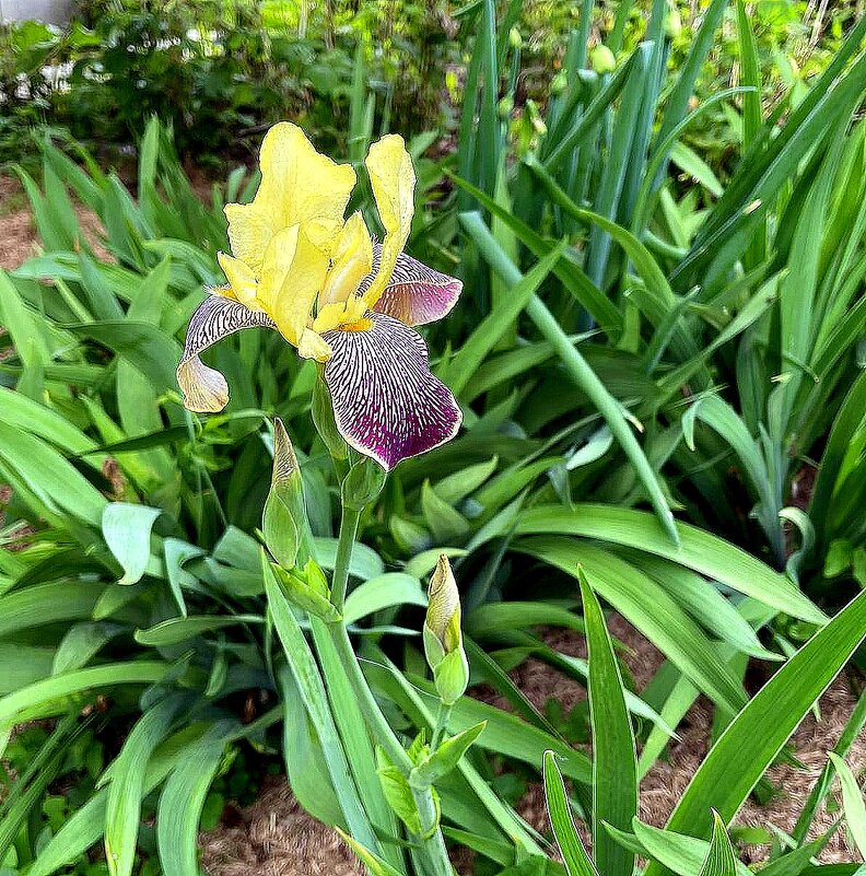 *   *   * - Елена 