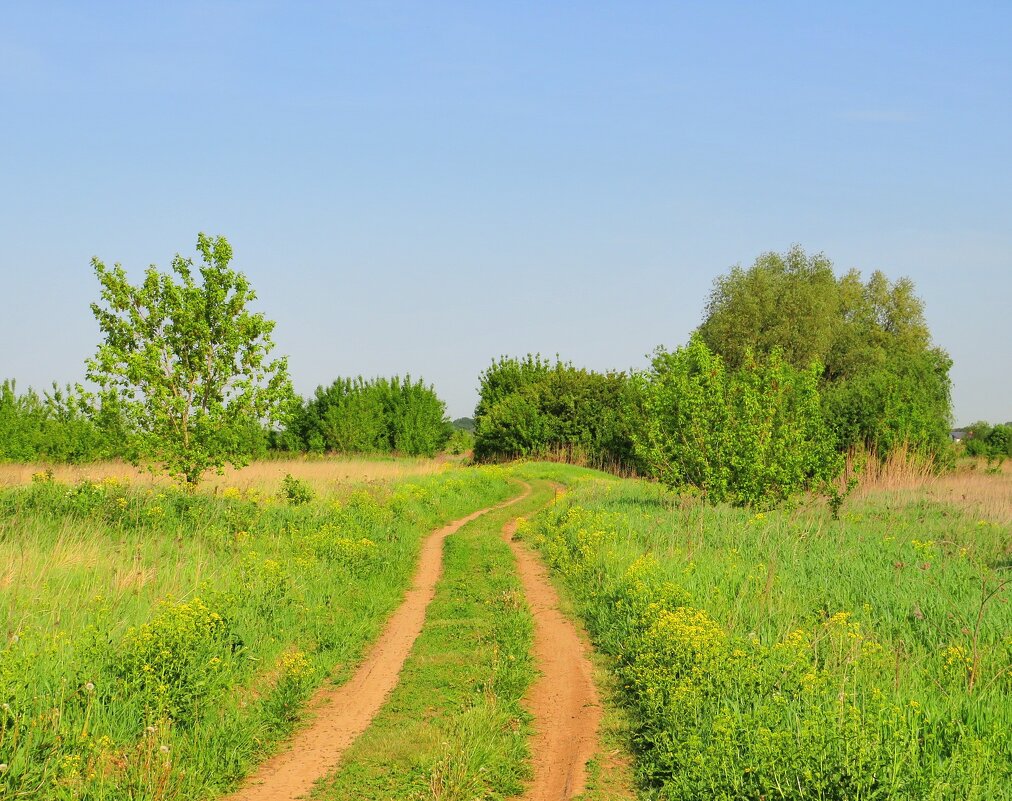 Дорога в лето - Андрей Снегерёв Дорога в лето - Андрей Снегерёв