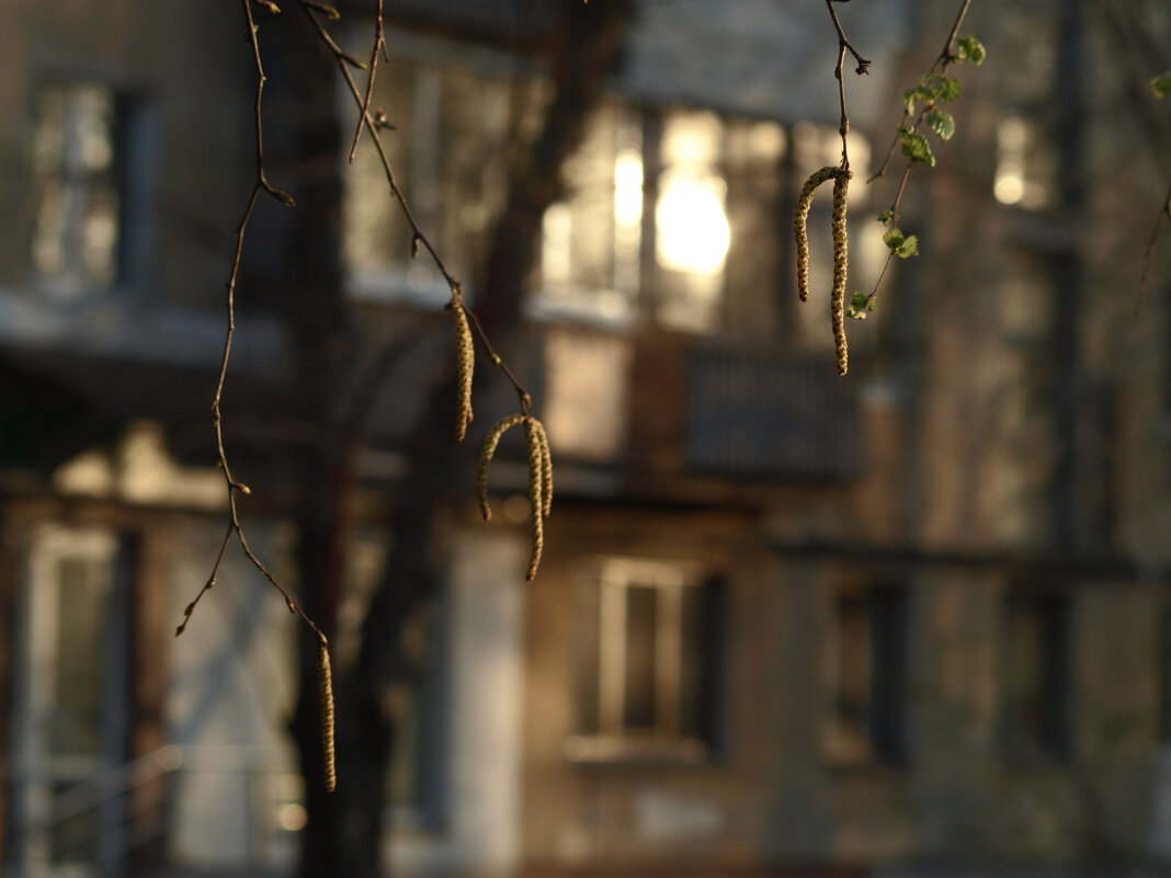 *** - Сергей Сергеев