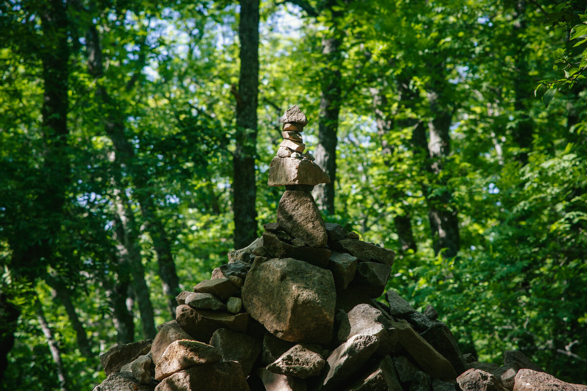 Крым. Аю-Даг. Май 2025. - Вячеслав Владимирович Крым. Аю-Даг. Май 2025. - Вячеслав Владимирович