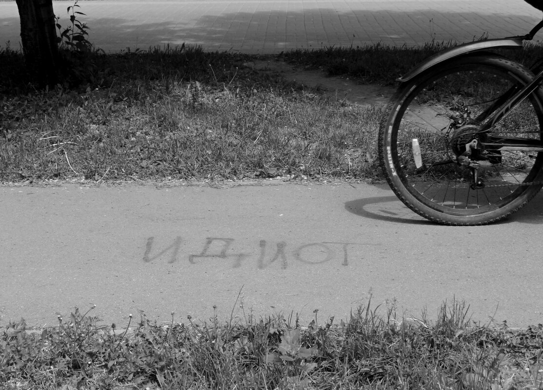 Окружение - Maria Rainer