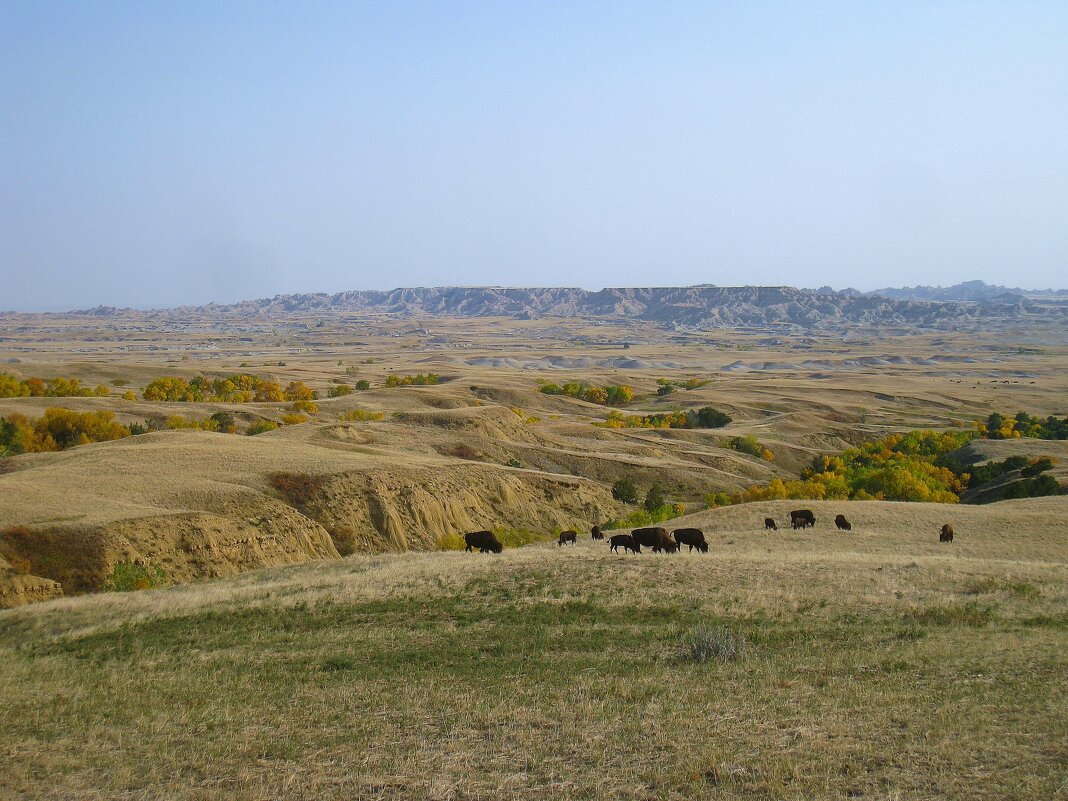 В прериях Северной Америки. - unix (Илья Утропов) В прериях Северной Америки. - unix (Илья Утропов)