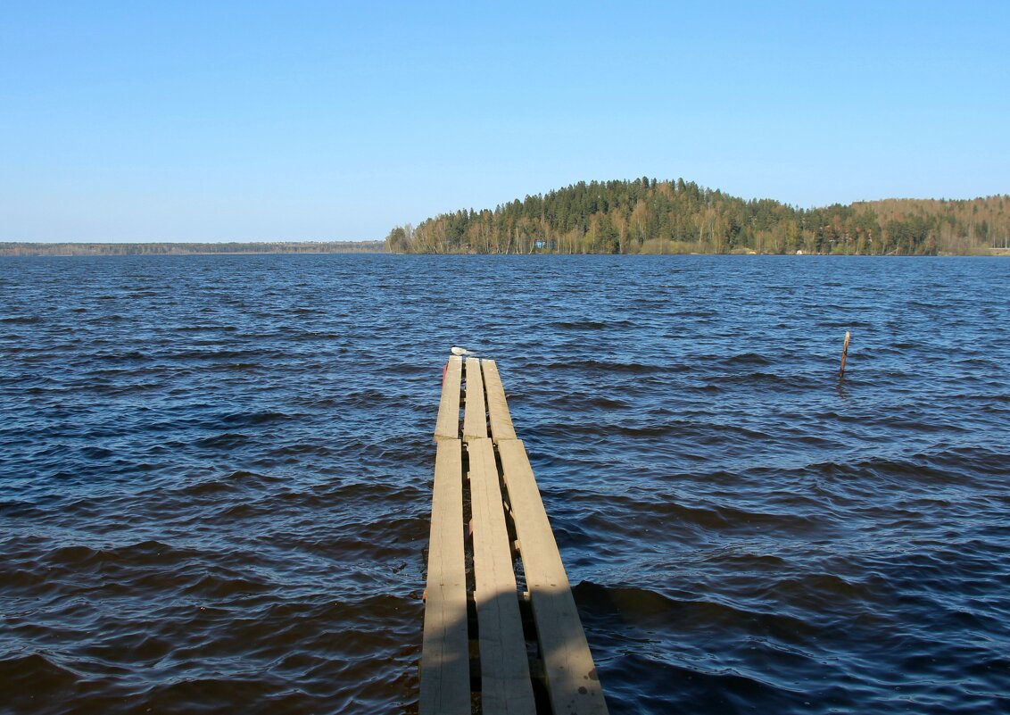Токсово - Наталья Герасимова