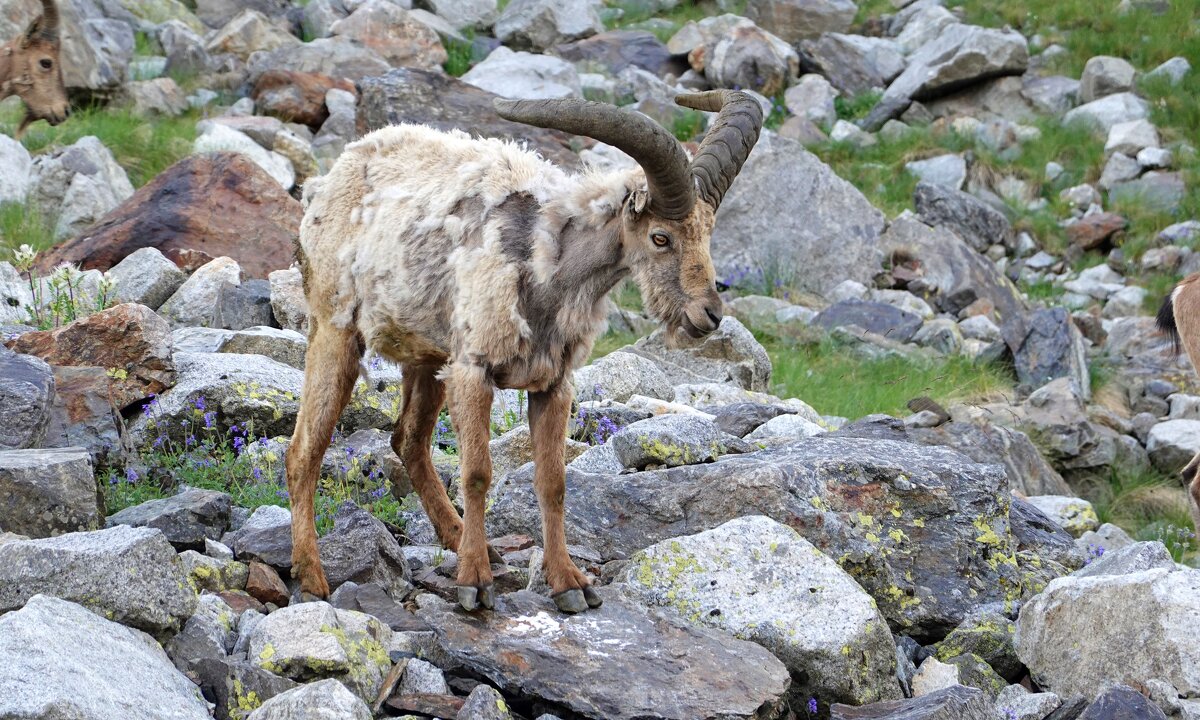 КБ - Андрей Л. В. КБ - Андрей Л. В.