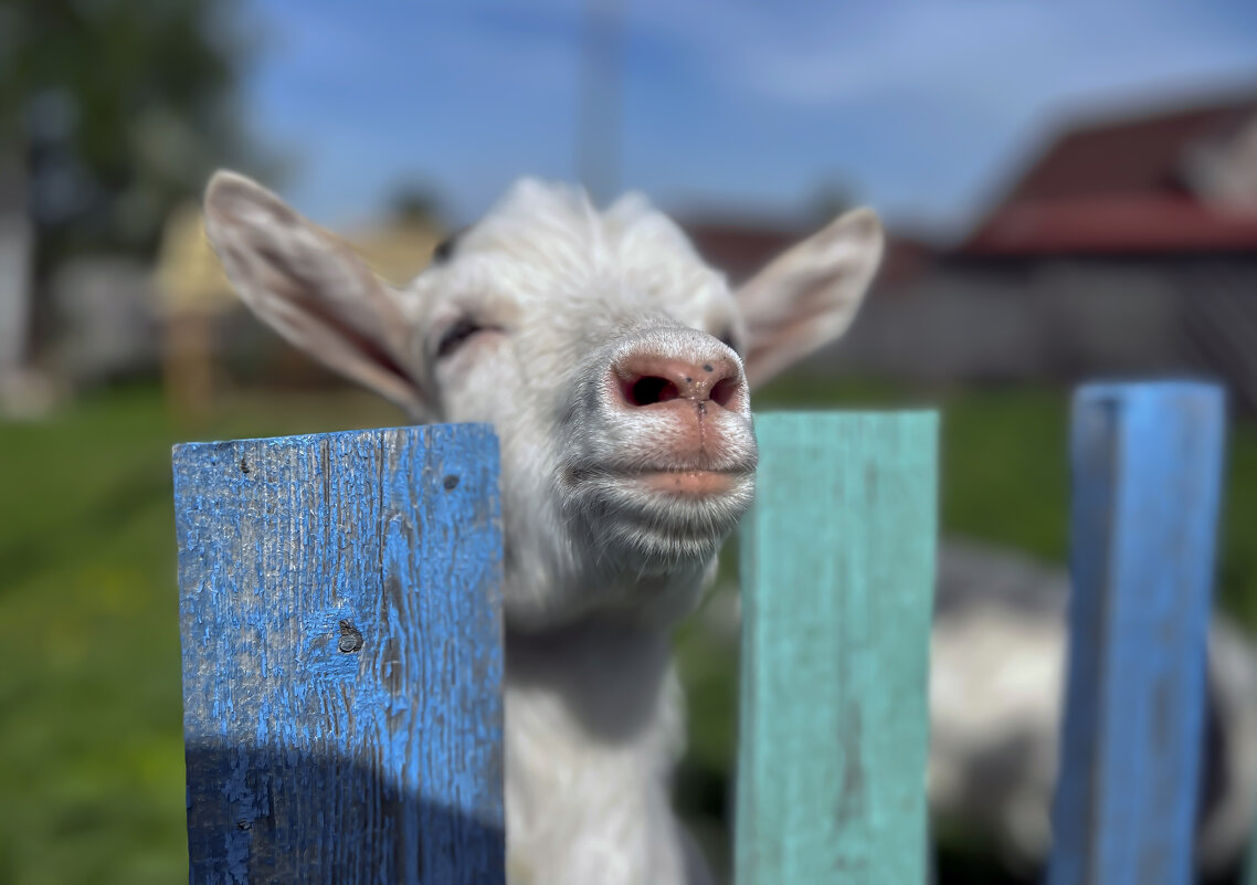 Вот и лето пришло - Дмитрий Иванов Вот и лето пришло - Дмитрий Иванов