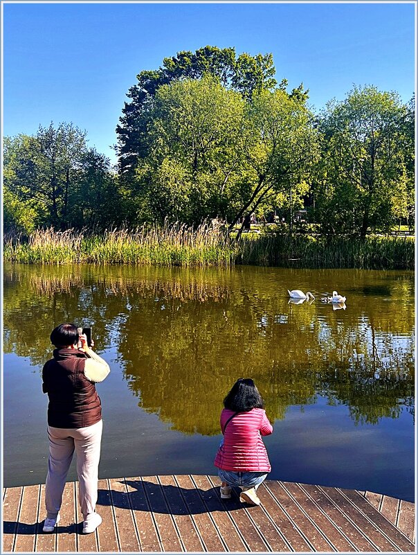 ********** - Валерия Комова ********** - Валерия Комова