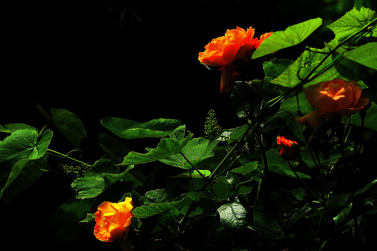 Красиво! - Юрий Гайворонскiий