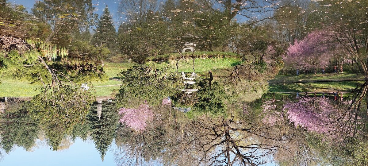 Весенний сад - ИРЭН@ . Весенний сад - ИРЭН@ .