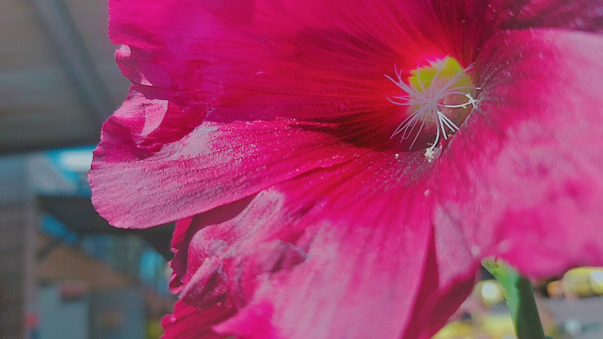 13 ОПЕН (89) - OPEN WAYS ALL 13 ОПЕН (89) - OPEN WAYS ALL