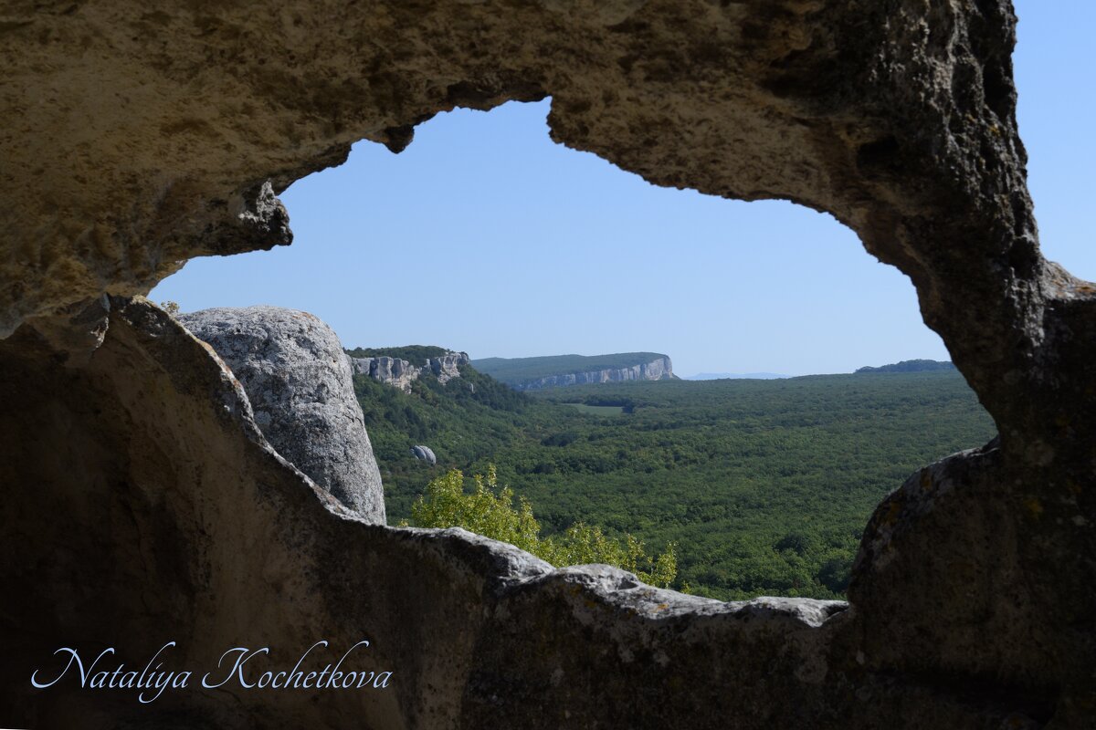 Природа Крыма - Amazing Cosmea