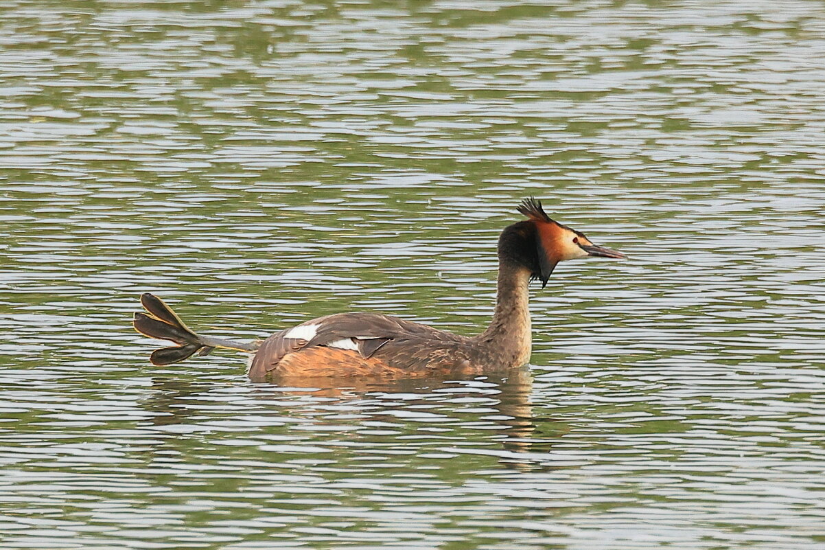 Разминка)) - Владилен Панченко