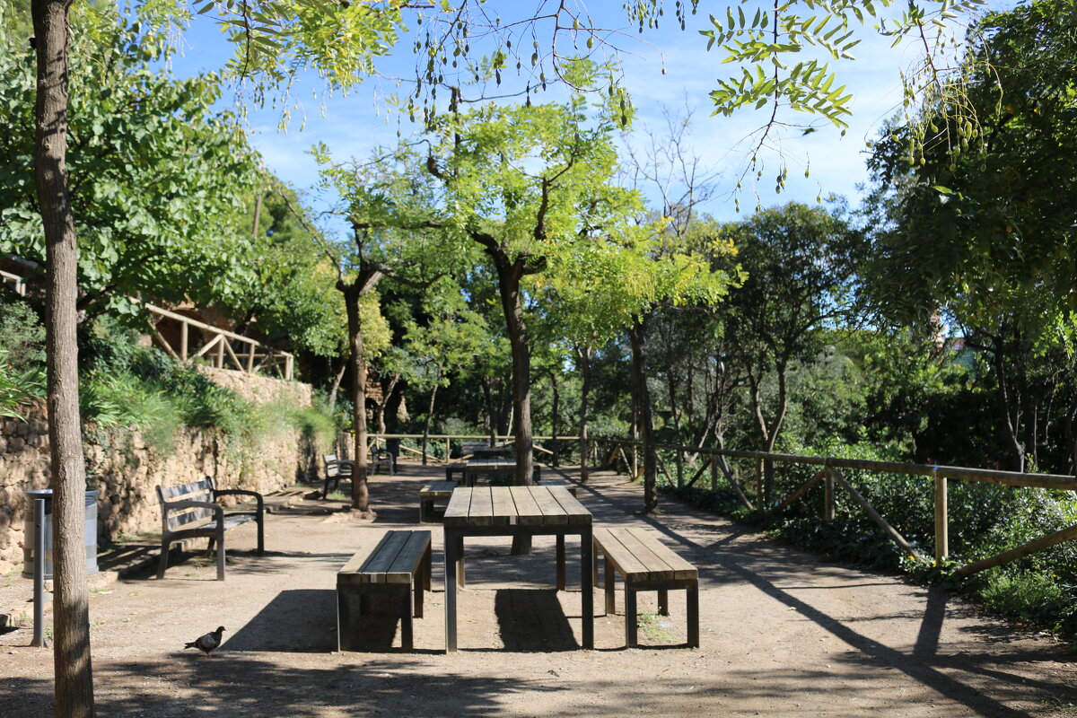 В парке Гуэль - Ольга 