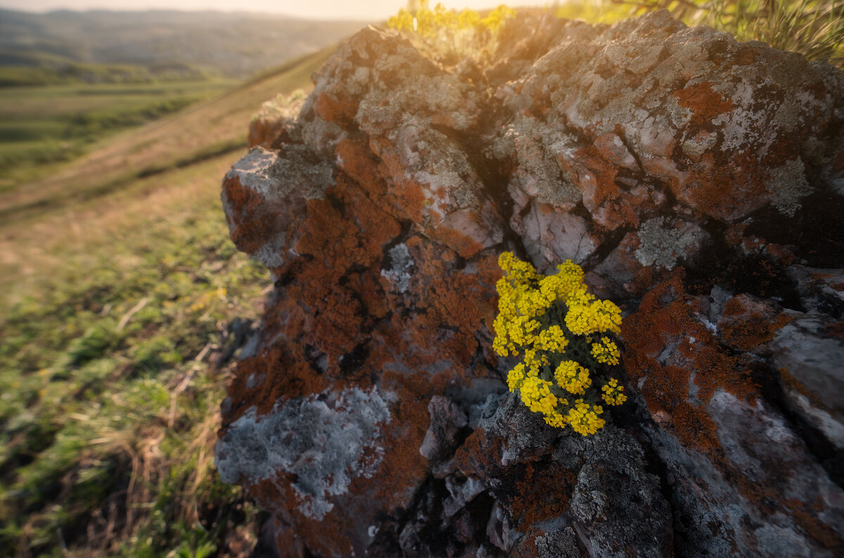 * - Александр Иванов