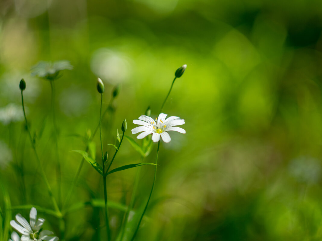 ___ - Yuriy V ___ - Yuriy V