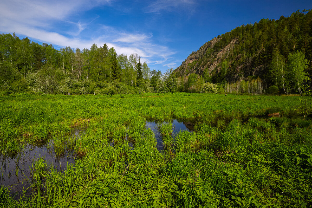 Майское утро. - Юрий кот