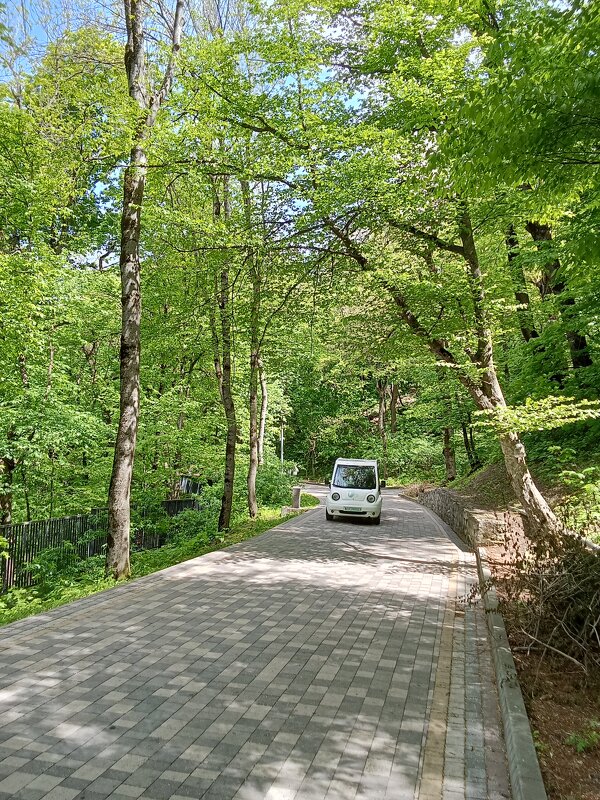 Встреча - Виктор 