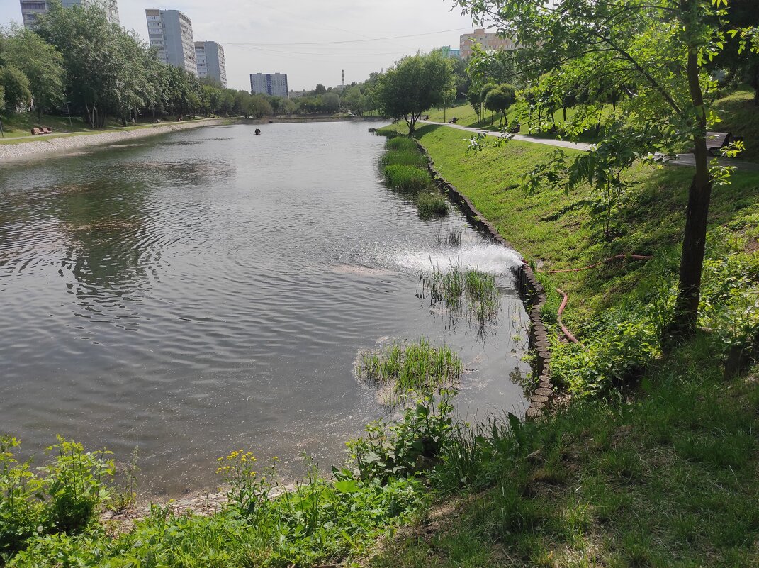 Не дай себе засохнуть - Игорь Ч. Не дай себе засохнуть - Игорь Ч.