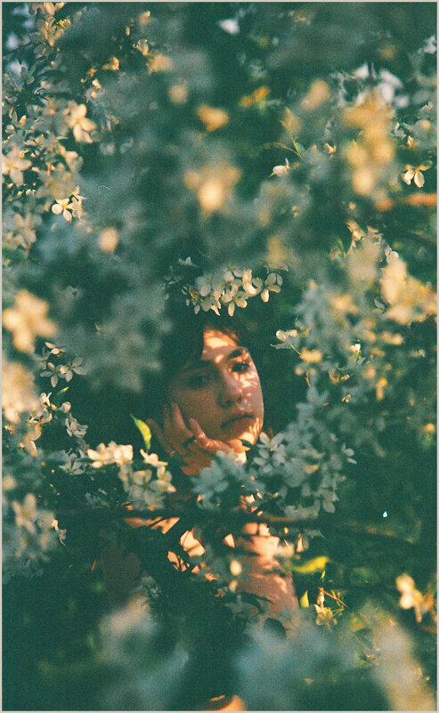 Карина, вечер, цветы - Алексей Хвастунов Карина, вечер, цветы - Алексей Хвастунов