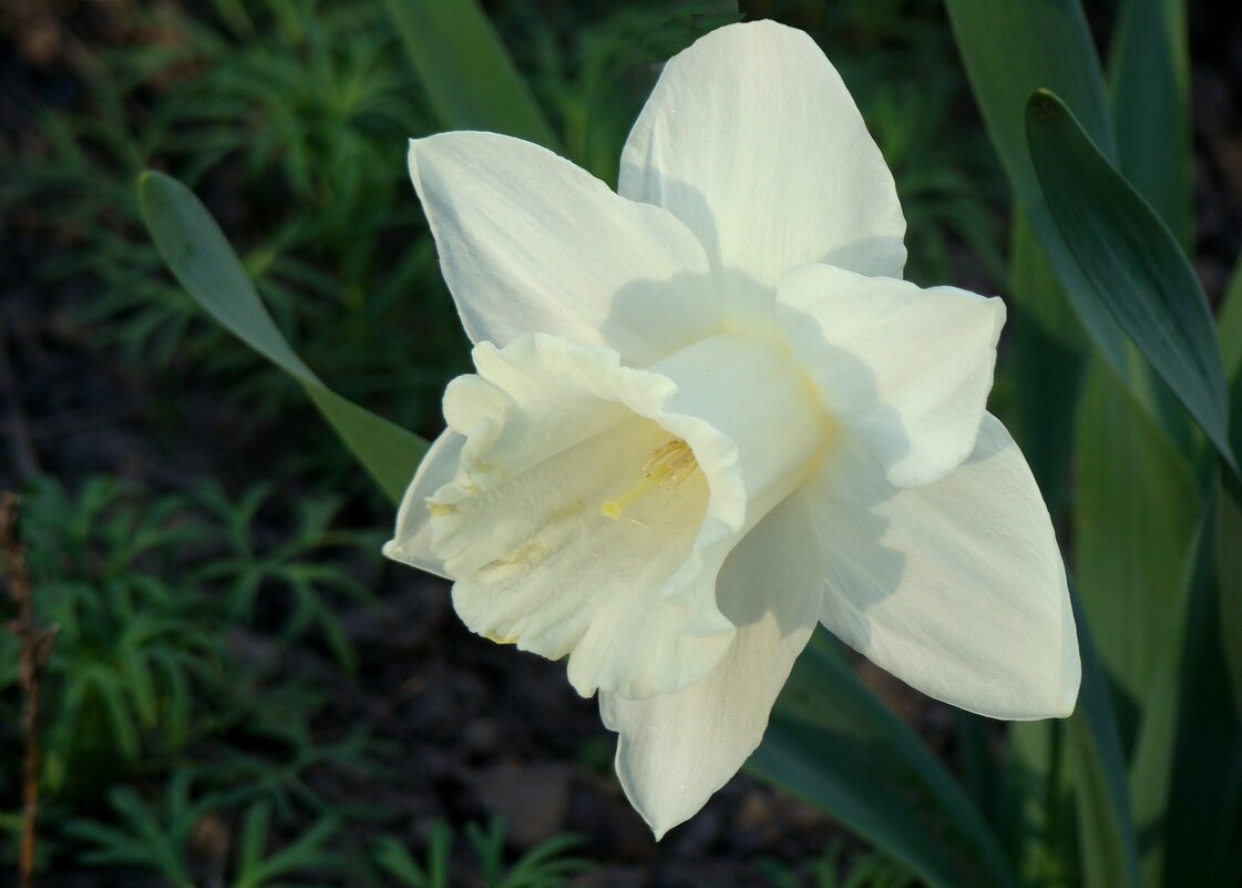 Вспоминая апрель... - Syntaxist (Светлана)