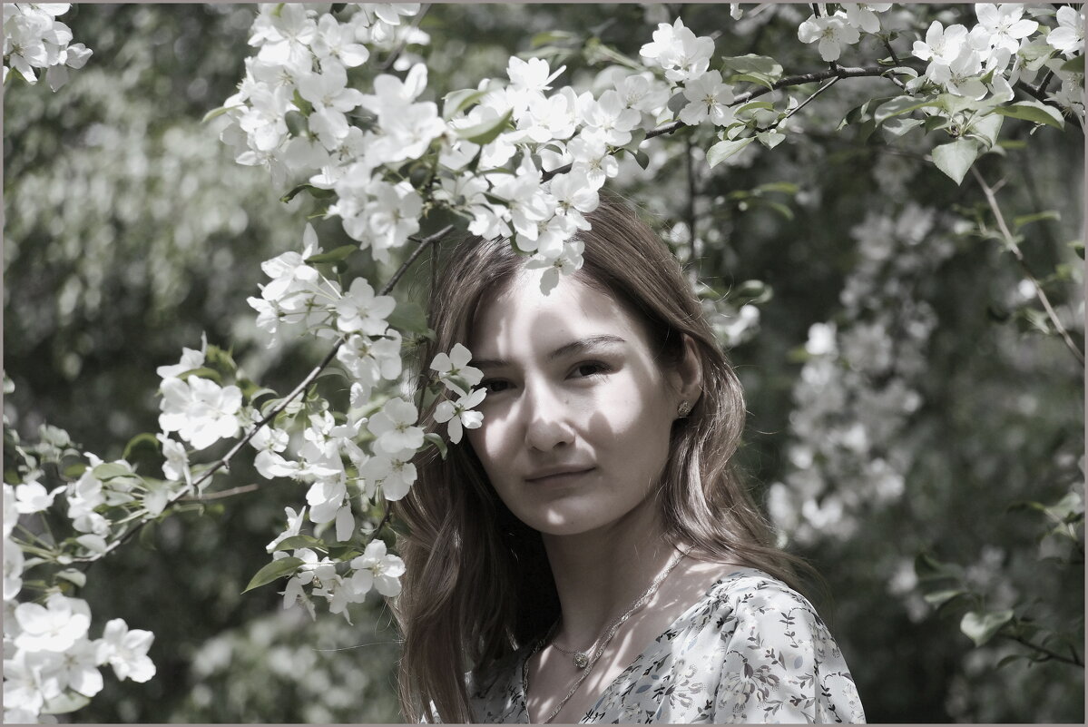 Полина и ветка яблони - Алексей Хвастунов