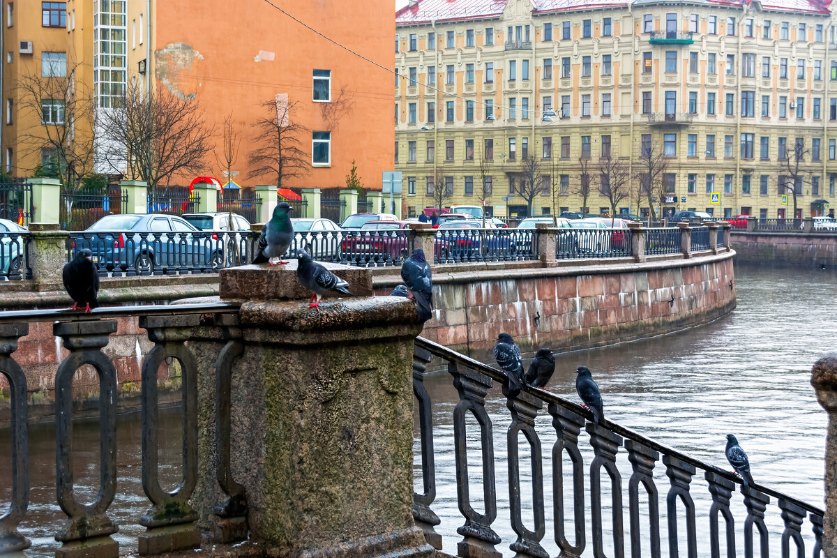 У Львиного мостика. - Виктор Орехов У Львиного мостика. - Виктор Орехов