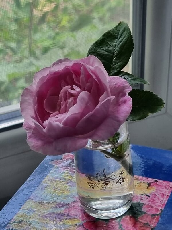 Вечернее настроение - Наталья 