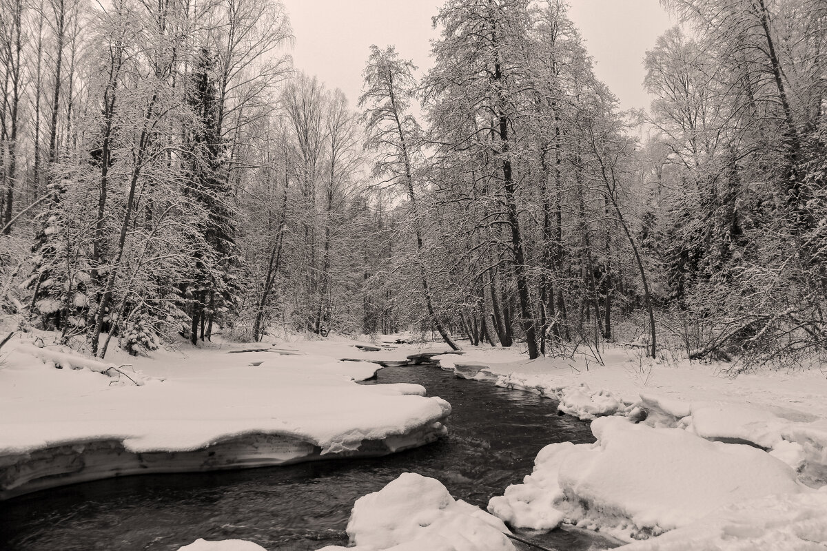 Линдуловская роща - skijumper Иванов Линдуловская роща - skijumper Иванов