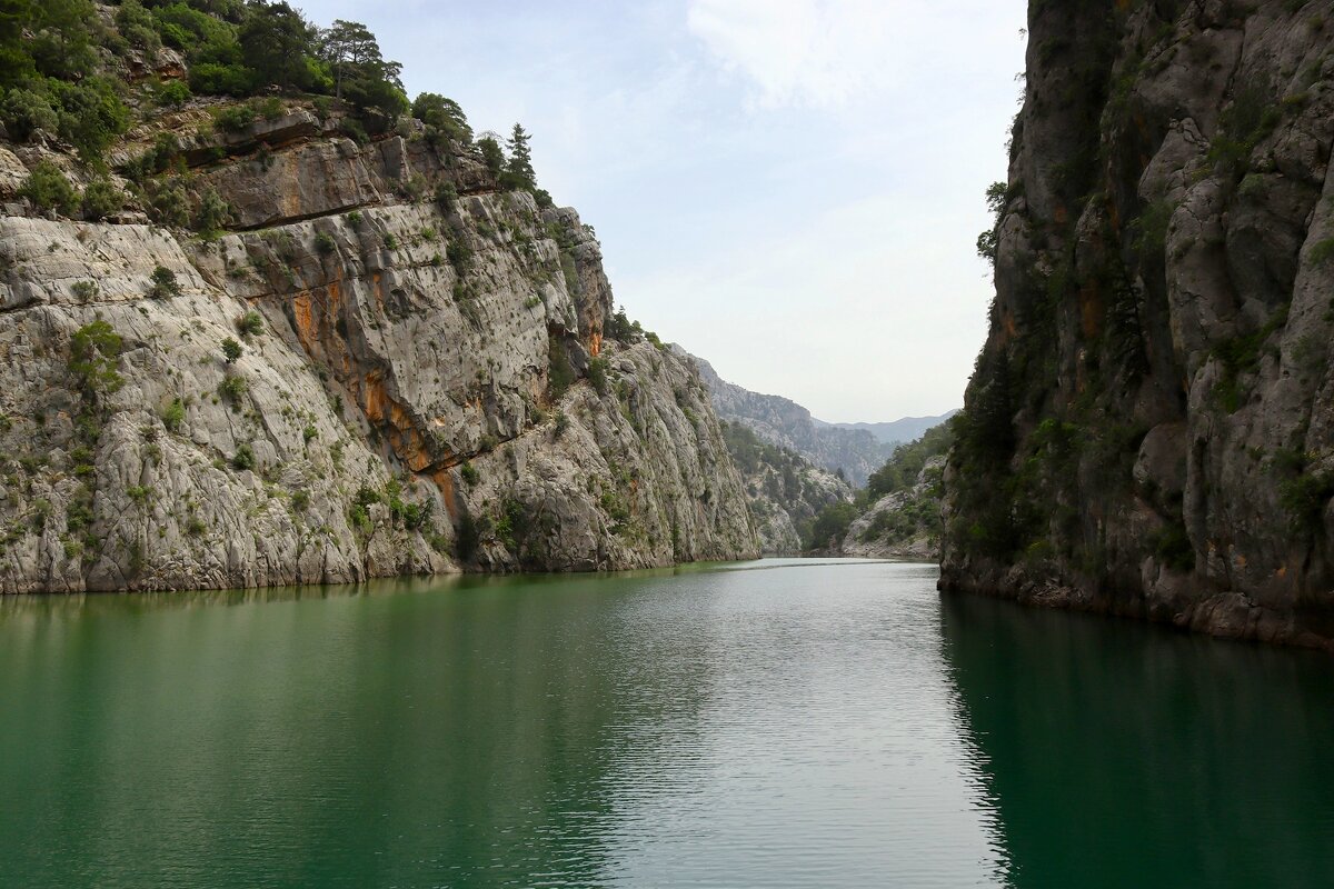 Каньон - Юрий. Шмаков