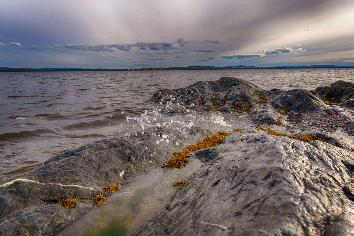 *** - Виталий Бенгард