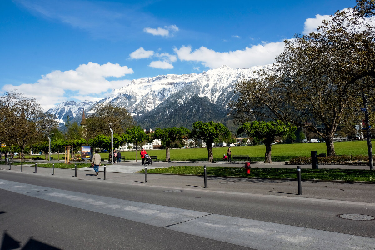 ** - Александр Липовецкий